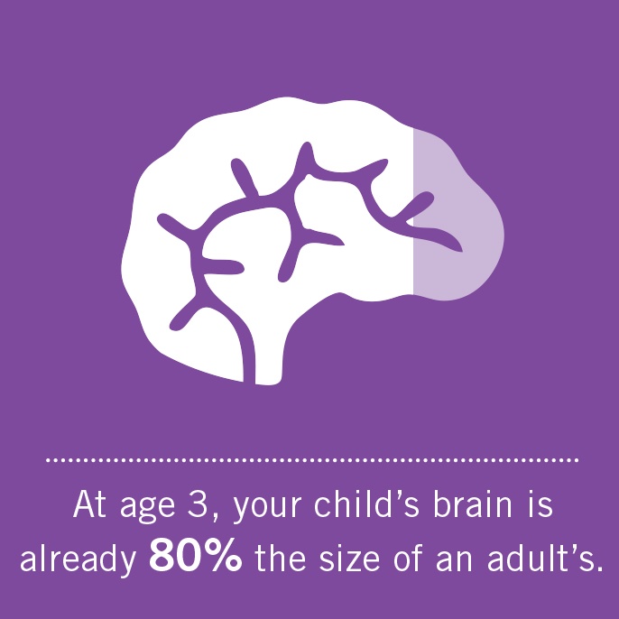 At age 3, your child's brain is already 80% the size of an adult's.